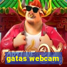 gatas webcam